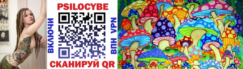 Купить где  Котельники  Галлюциногенные грибы Psilocybe 